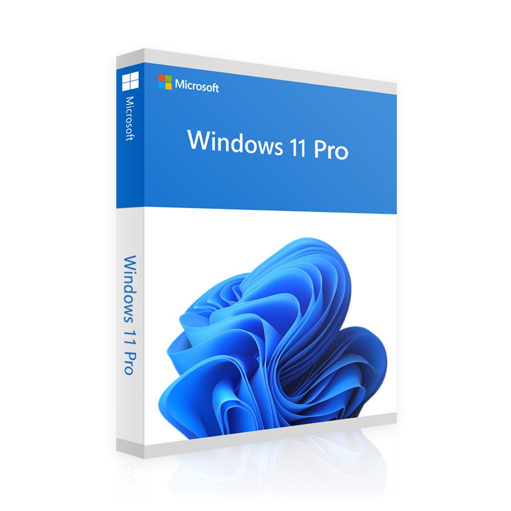 Windows 11 Professional | 2 for 1